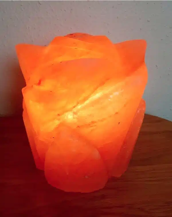 LAMPA OD RUŽINE SOL - ZDRAVO SVJETLO PRIRODE - VEL