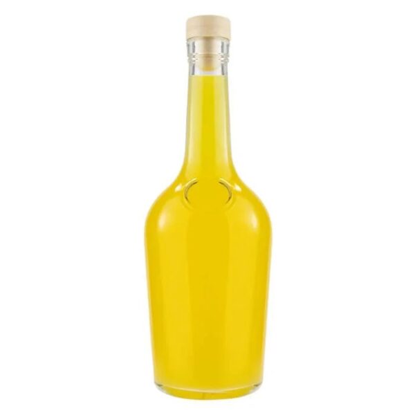 Staklena boca GLORIA 500 ml sa čepom