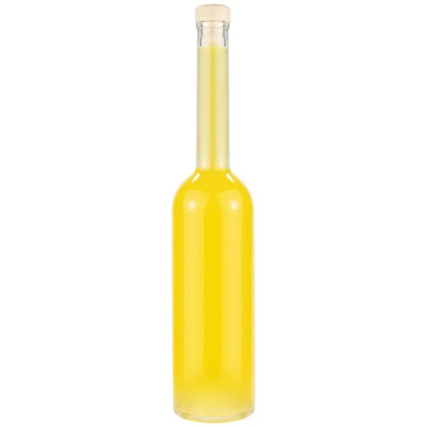 Staklena boca FENICE 700 ml sa čepom