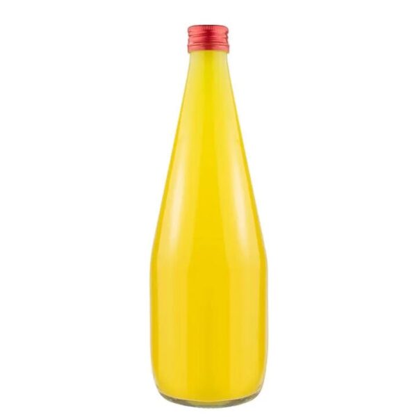KROPLA staklena boca 700 ml sa čepom